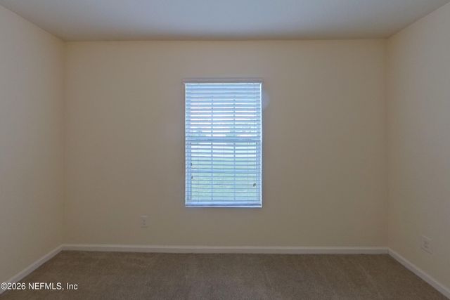 3323 CANYON FALLS Drive, Green Cove Springs, FL 32043