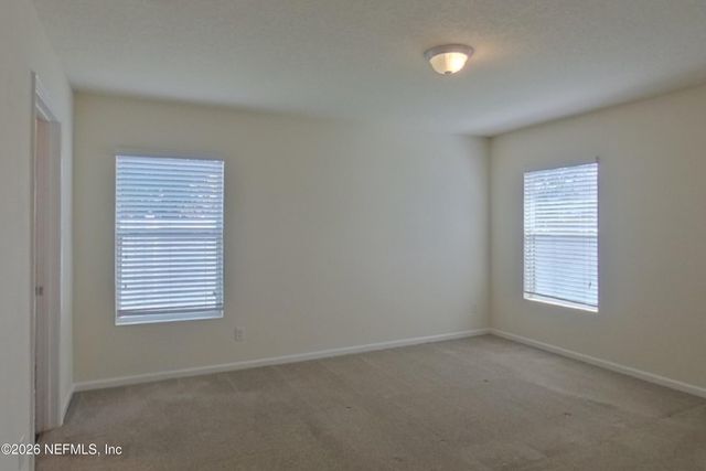 3323 CANYON FALLS Drive, Green Cove Springs, FL 32043