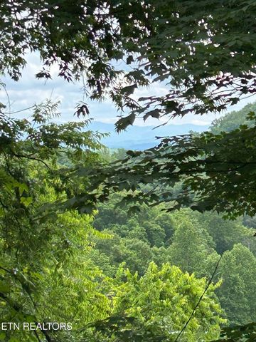 188 Happy Hollow Rd, Madisonville, TN 37354