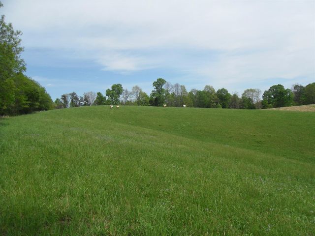 521 Artville Road, Wellington, KY 40387