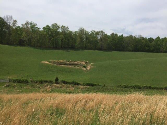 521 Artville Road, Wellington, KY 40387