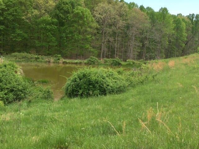 521 Artville Road, Wellington, KY 40387