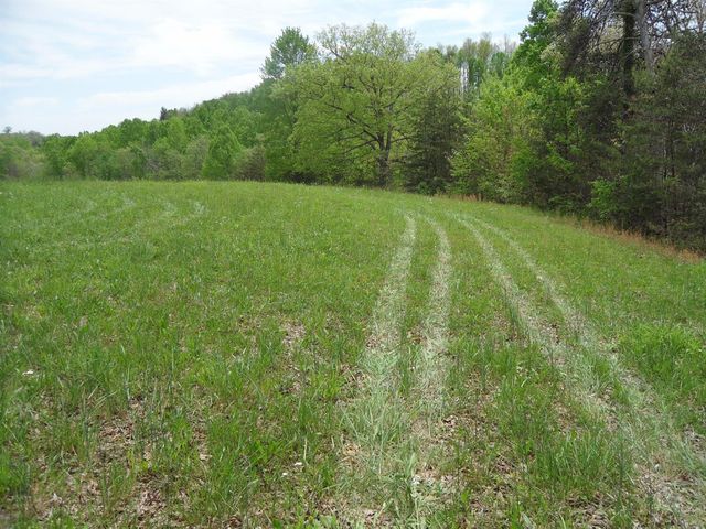 521 Artville Road, Wellington, KY 40387