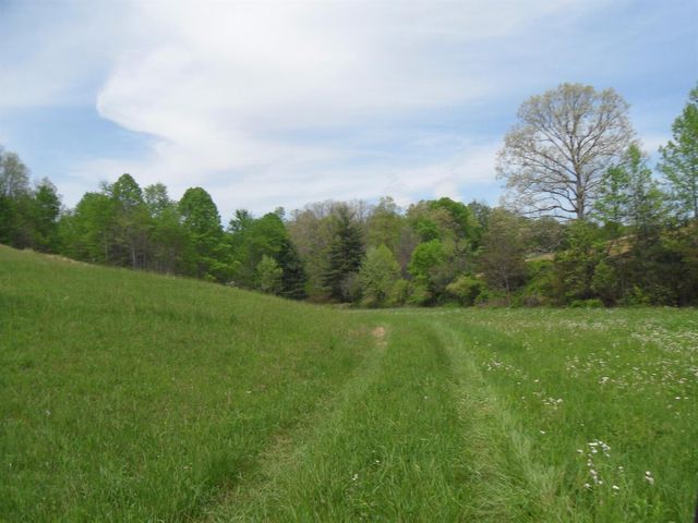 521 Artville Road, Wellington, KY 40387