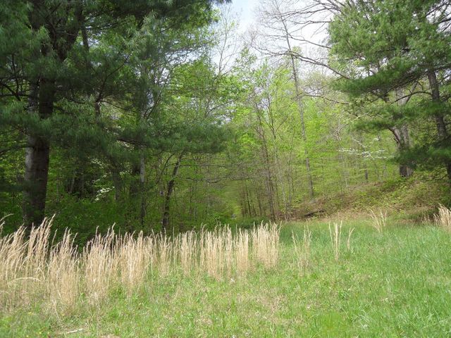 521 Artville Road, Wellington, KY 40387