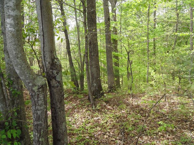 521 Artville Road, Wellington, KY 40387