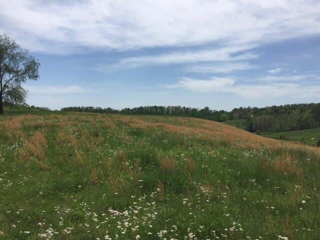 521 Artville Road, Wellington, KY 40387