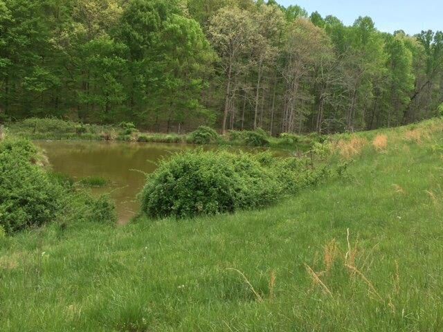 521 Artville Road, Wellington, KY 40387