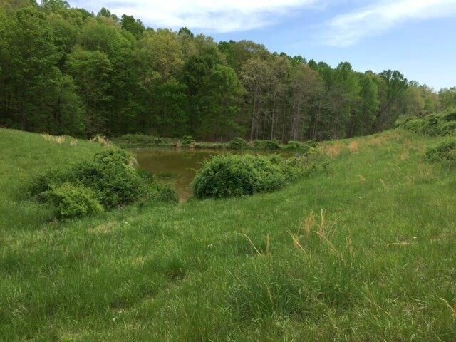 521 Artville Road, Wellington, KY 40387