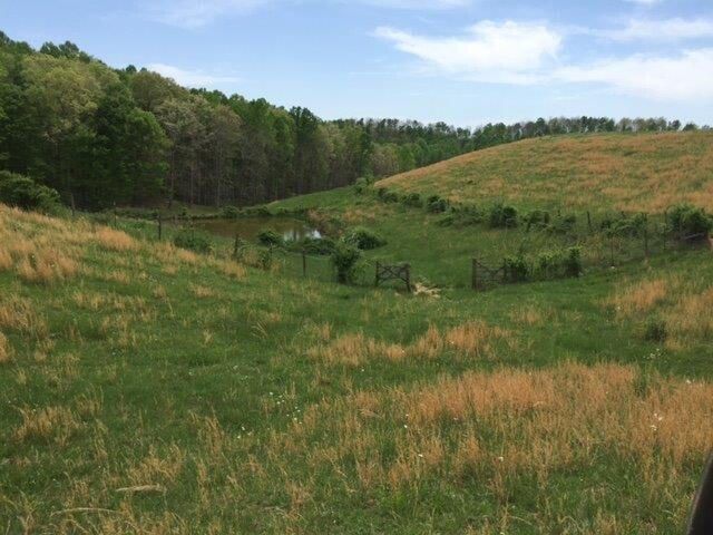 521 Artville Road, Wellington, KY 40387