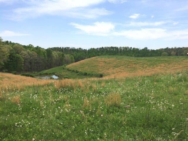 521 Artville Road, Wellington, KY 40387