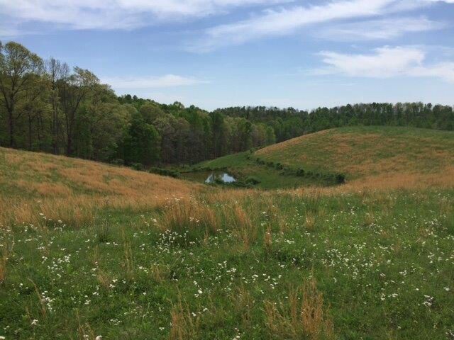 521 Artville Road, Wellington, KY 40387