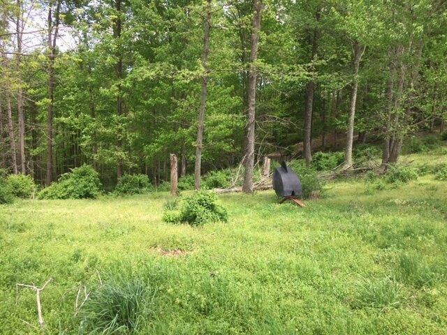521 Artville Road, Wellington, KY 40387