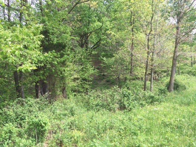 521 Artville Road, Wellington, KY 40387