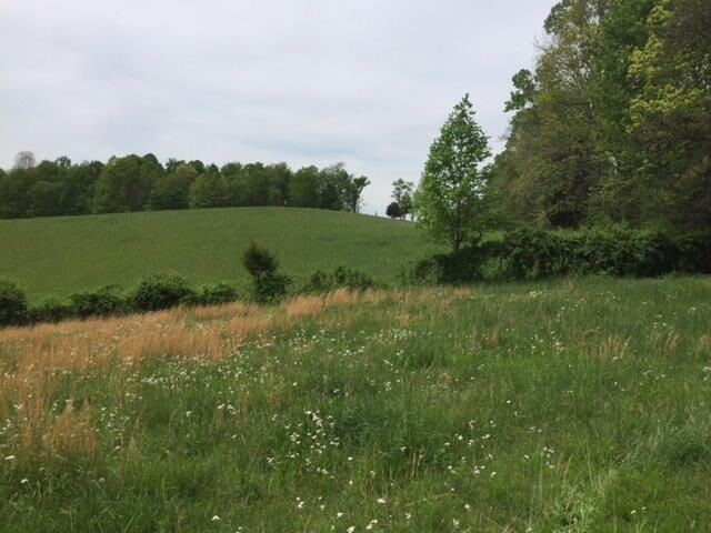 521 Artville Road, Wellington, KY 40387