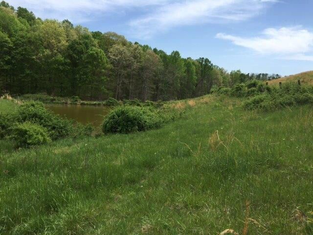 521 Artville Road, Wellington, KY 40387