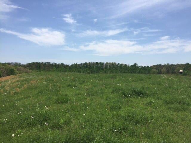 521 Artville Road, Wellington, KY 40387