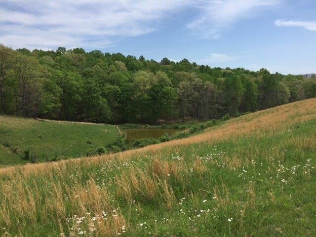 521 Artville Road, Wellington, KY 40387