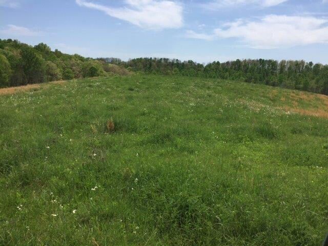 521 Artville Road, Wellington, KY 40387