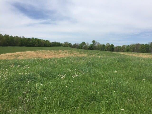 521 Artville Road, Wellington, KY 40387