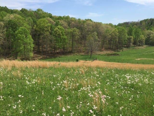 521 Artville Road, Wellington, KY 40387
