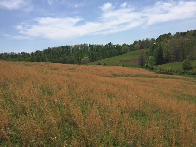 521 Artville Road, Wellington, KY 40387