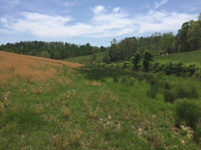 521 Artville Road, Wellington, KY 40387