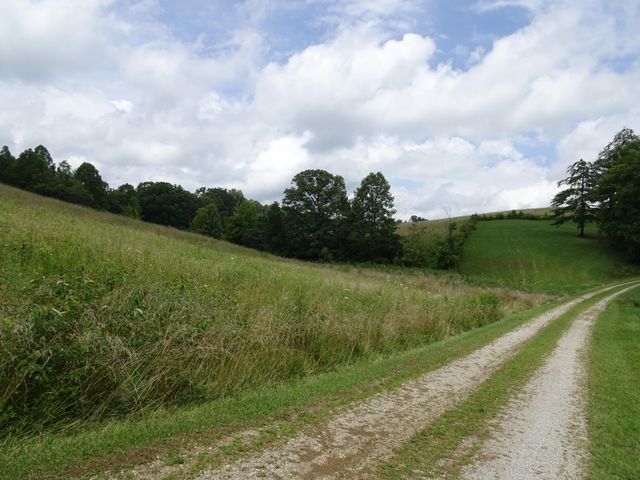 521 Artville Road, Wellington, KY 40387