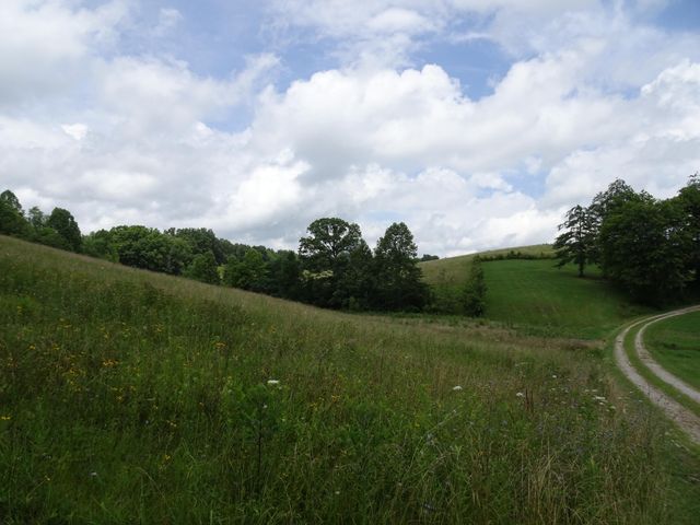 521 Artville Road, Wellington, KY 40387