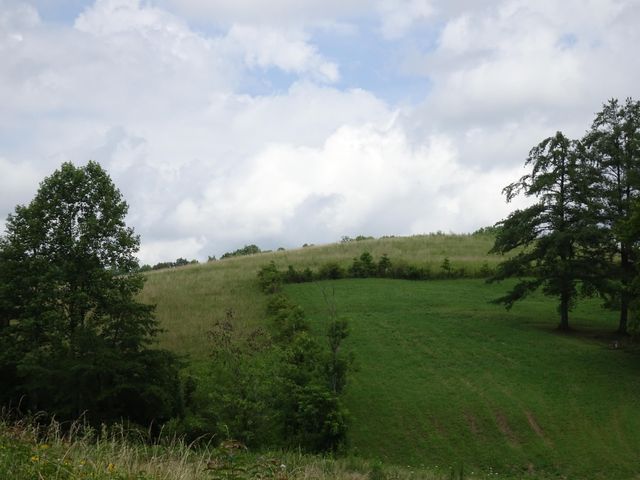 521 Artville Road, Wellington, KY 40387