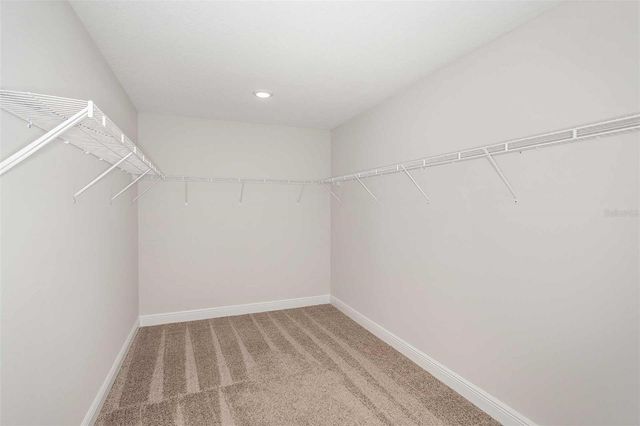 9862 SURREY ROSE DRIVE, San Antonio, FL 33576