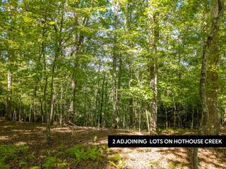 LT 27/28 Donna Lee Lane, Mineral Bluff, GA 30559