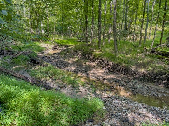 10585 Whitewood Road, Brecksville, OH 44141