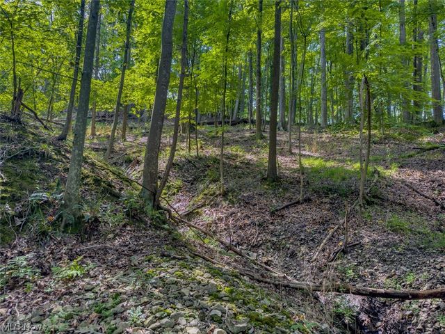 10585 Whitewood Road, Brecksville, OH 44141