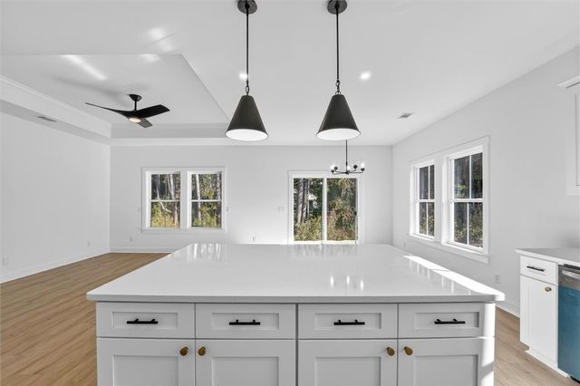 1072 Cottage Way, Darien, GA 31305