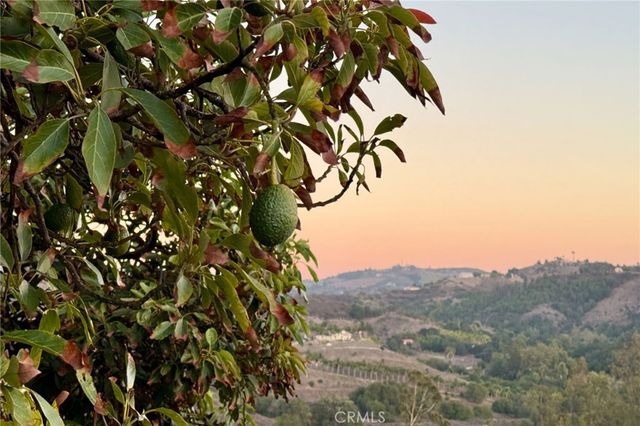 43040 Via Nariz, Temecula, CA 92590