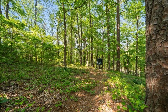 311 Woodland Brook Drive, Canton, GA 30115