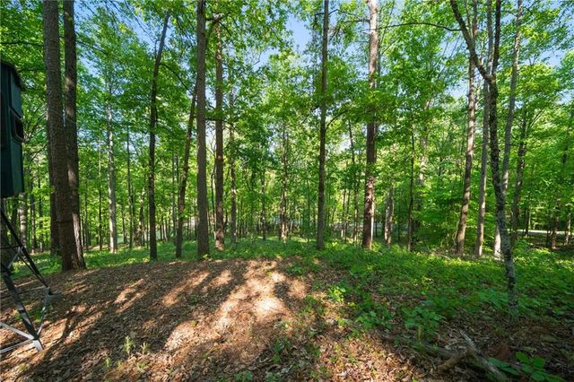 311 Woodland Brook Drive, Canton, GA 30115