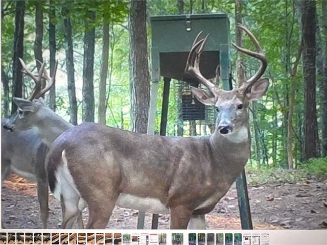 311 Woodland Brook Drive, Canton, GA 30115