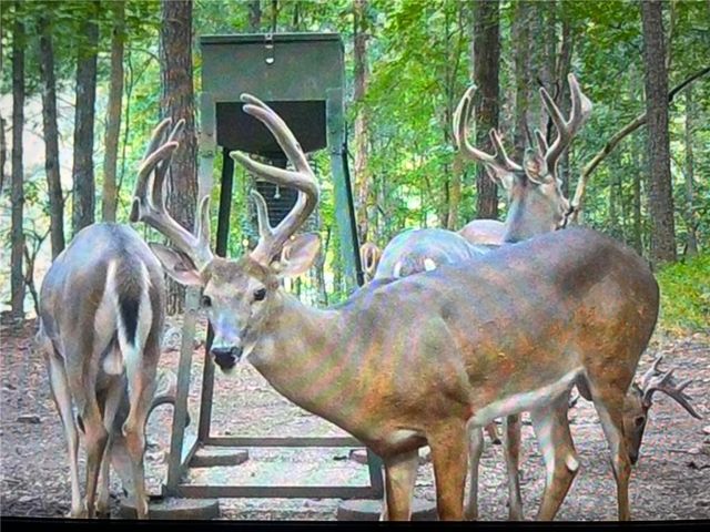 311 Woodland Brook Drive, Canton, GA 30115