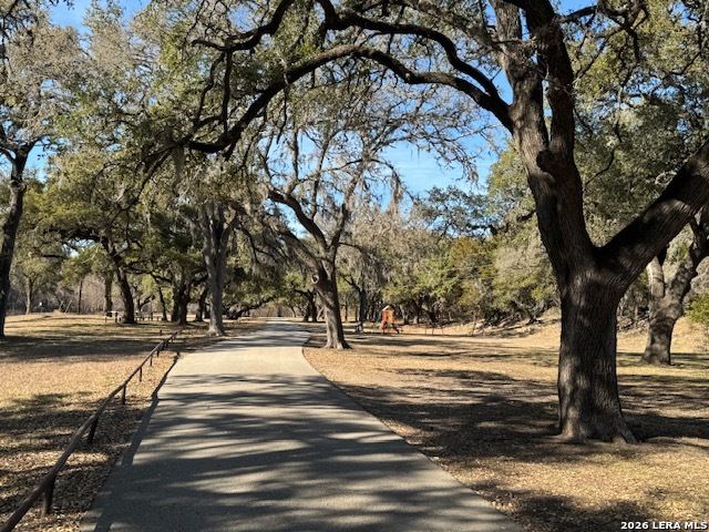 307 Palm, Spring Branch, TX 78070