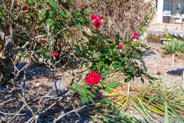 1515 Brookstone Drive, Graniteville, SC 29829