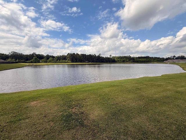 14112 Colt Dr, Denham Springs, LA 70726