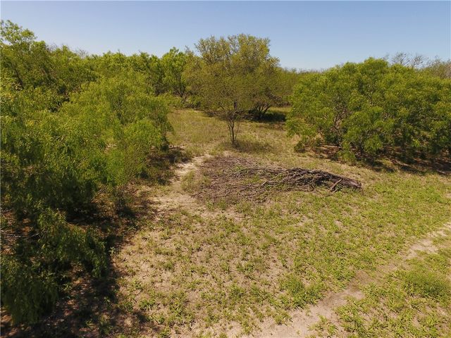 00 N County Road 1026, Kingsville, TX 78363