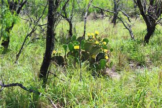 00 N County Road 1026, Kingsville, TX 78363