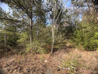 0 Lexie Lane, Brookwood, AL 35444