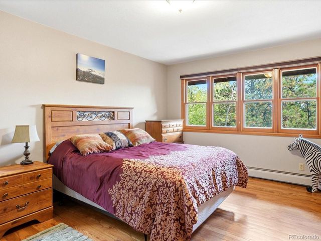 21191 Pleasant Park Rd, Conifer, CO 80433