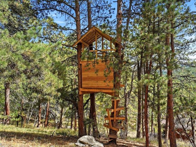 21191 Pleasant Park Rd, Conifer, CO 80433