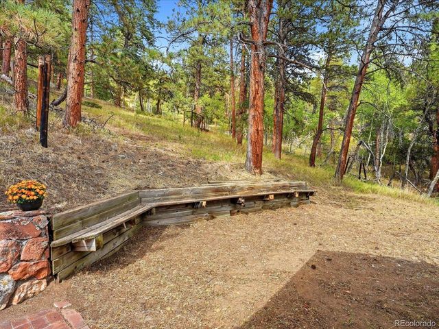 21191 Pleasant Park Rd, Conifer, CO 80433