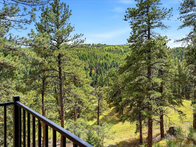 21191 Pleasant Park Rd, Conifer, CO 80433